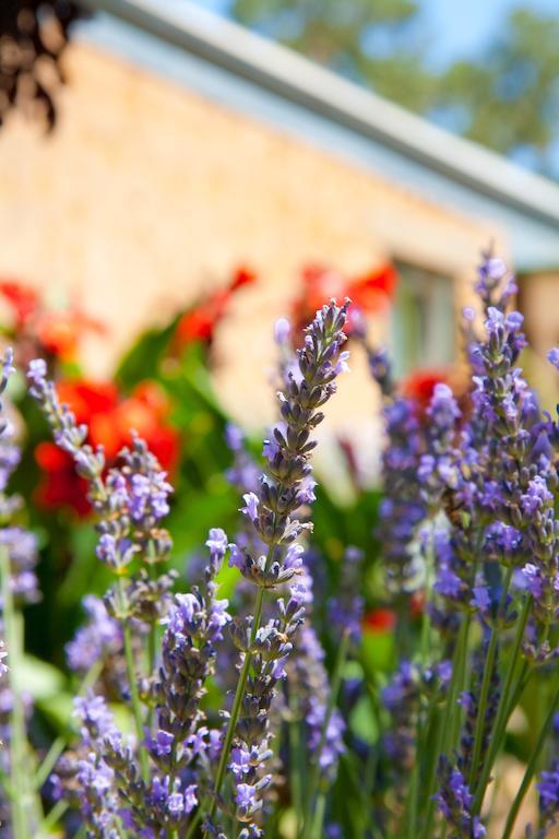 Bed & Breakfast Brayfield